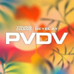 Cover of PVDV