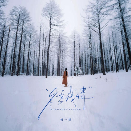 冬雪残情