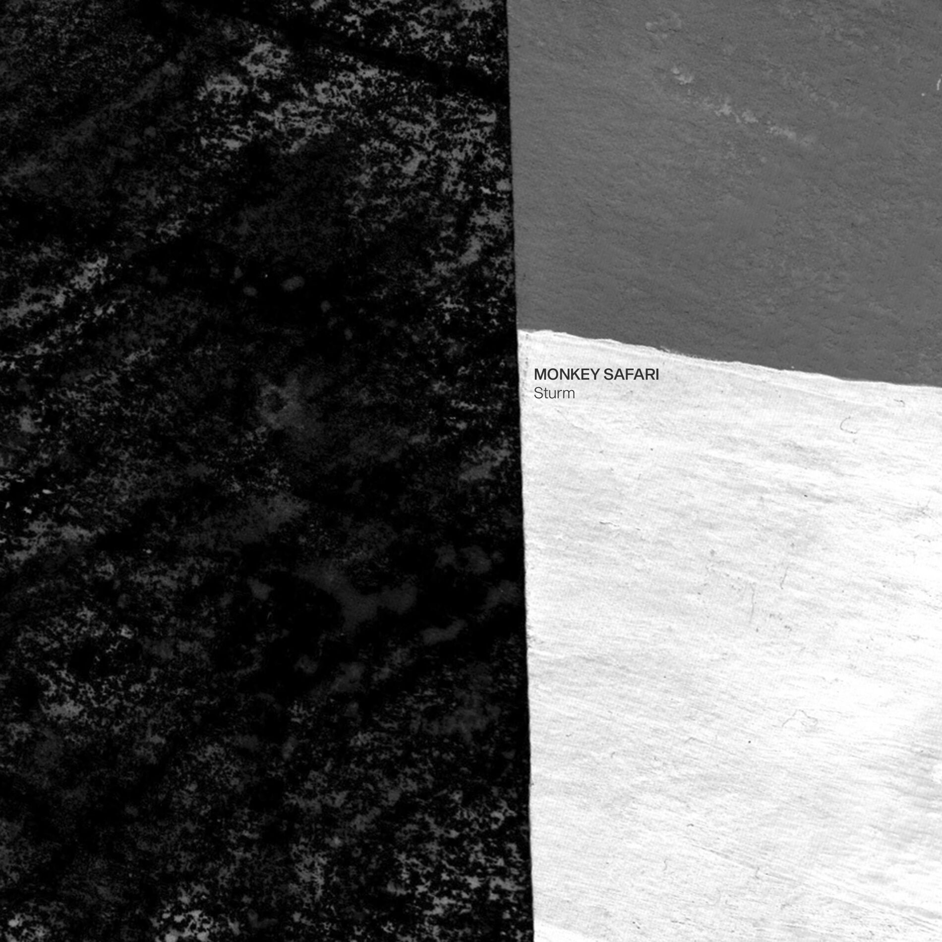 Album cover of Sturm