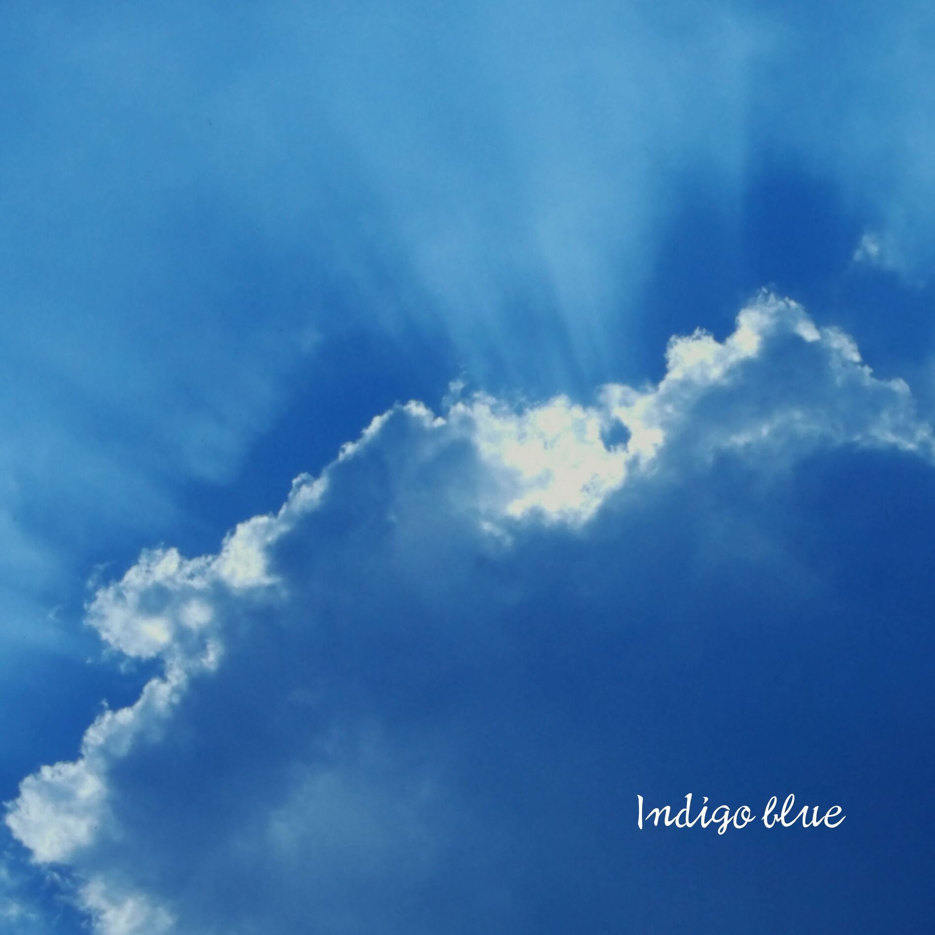 Album cover of Indigo blue (feat. Mew)