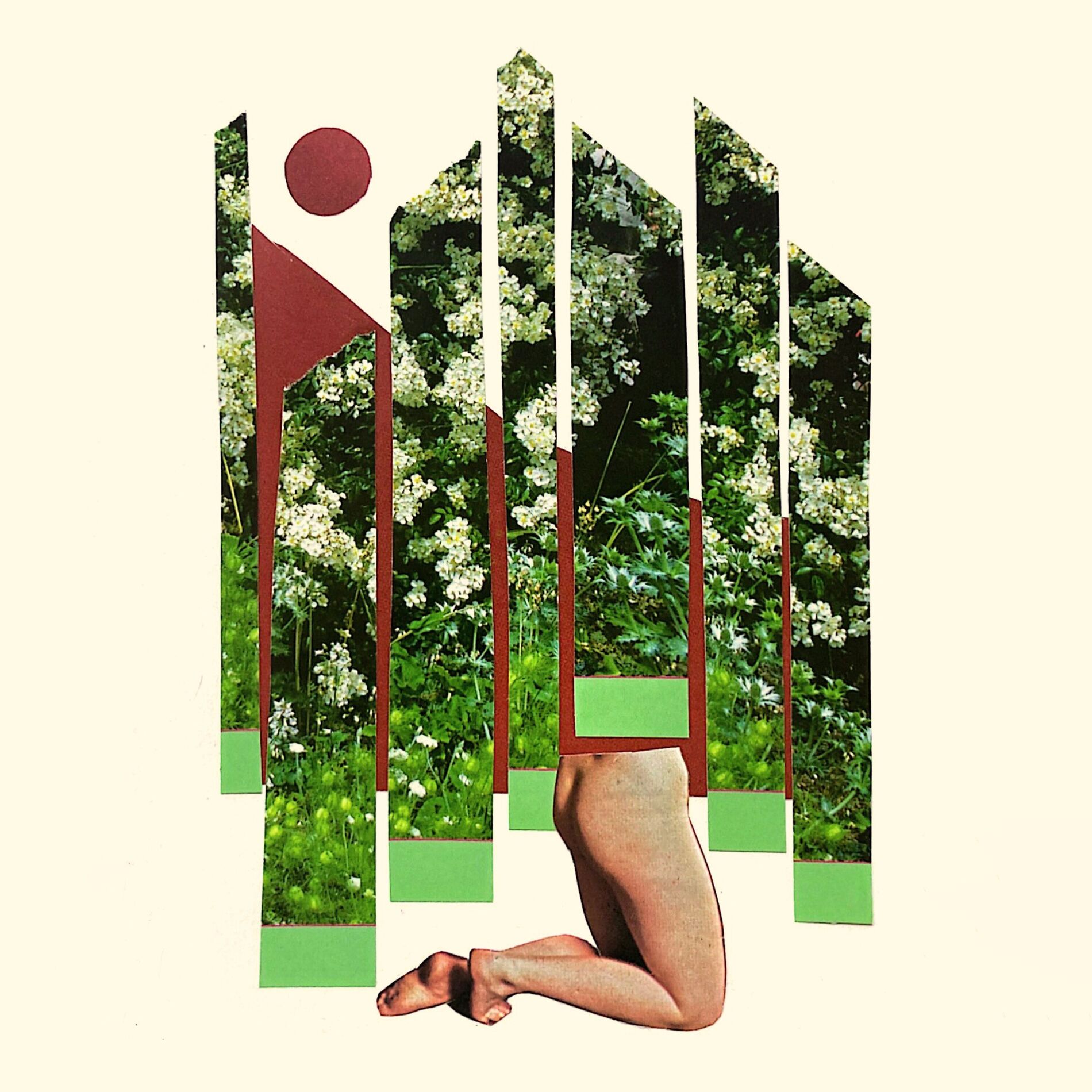 Album cover of Again Again