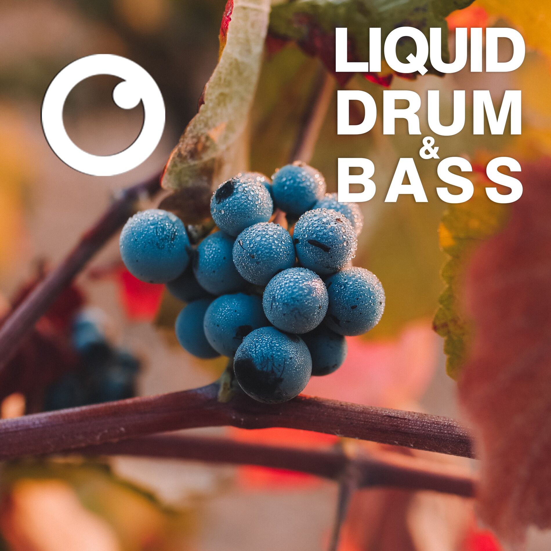 Album cover of Liquid Drum & Bass Sessions 2021 Vol 42