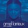 Shine (Album Version)
