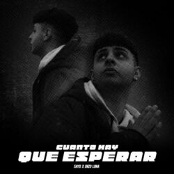 Cover of Cuanto hay que esperar?