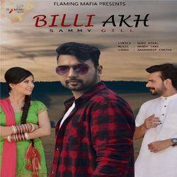 Cover of Billi Akh by undefined