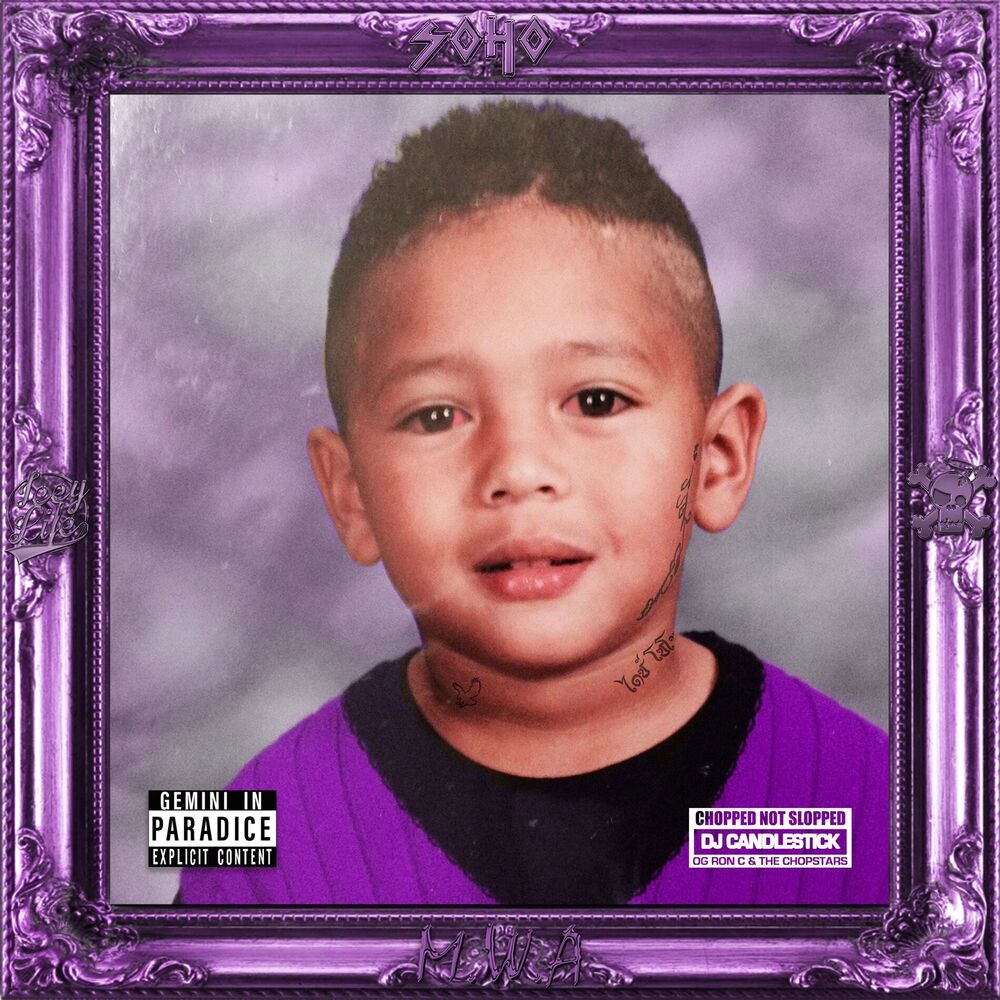 Picture of Gemini In Paradice (Chopped Not Slopped)