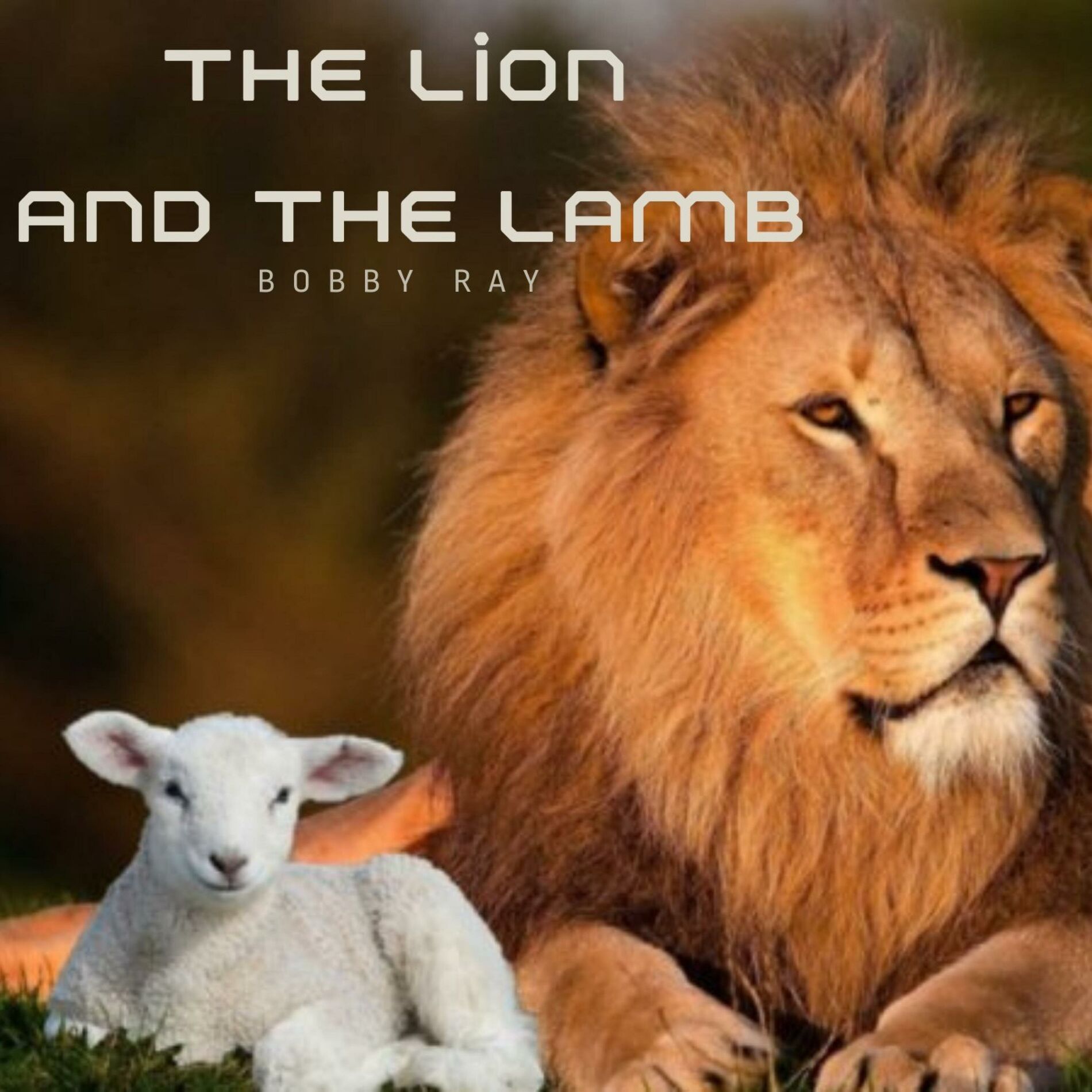 Album cover of The Lion And The Lamb