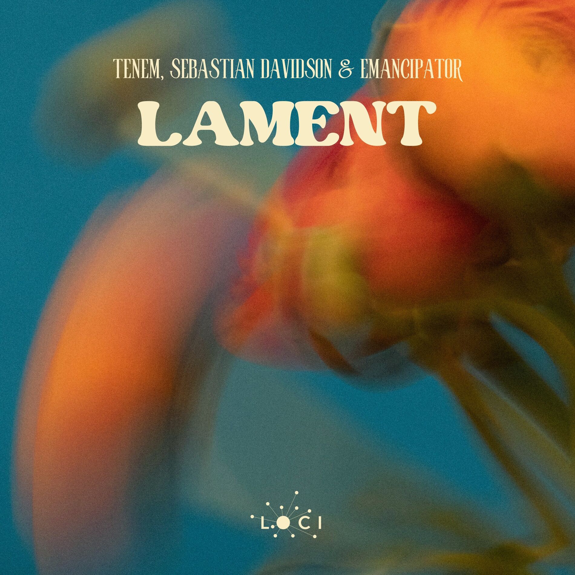 Album cover of Lament