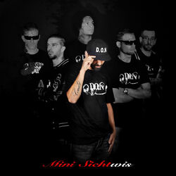 Cover of Mini Sichtwis