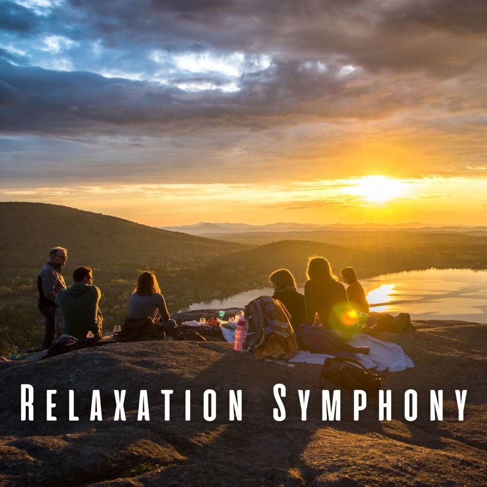 Picture of Relaxation Symphony: Harmonious Nature Sounds and Chill Vibes