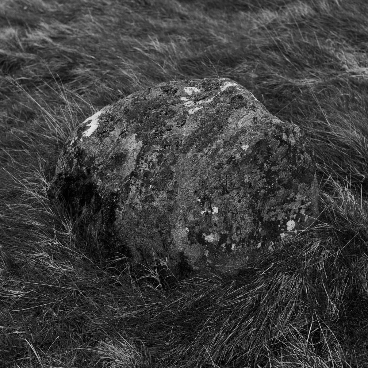 Album cover of Stone