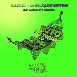 Cover of Boto pra Torar na Minha Rede
