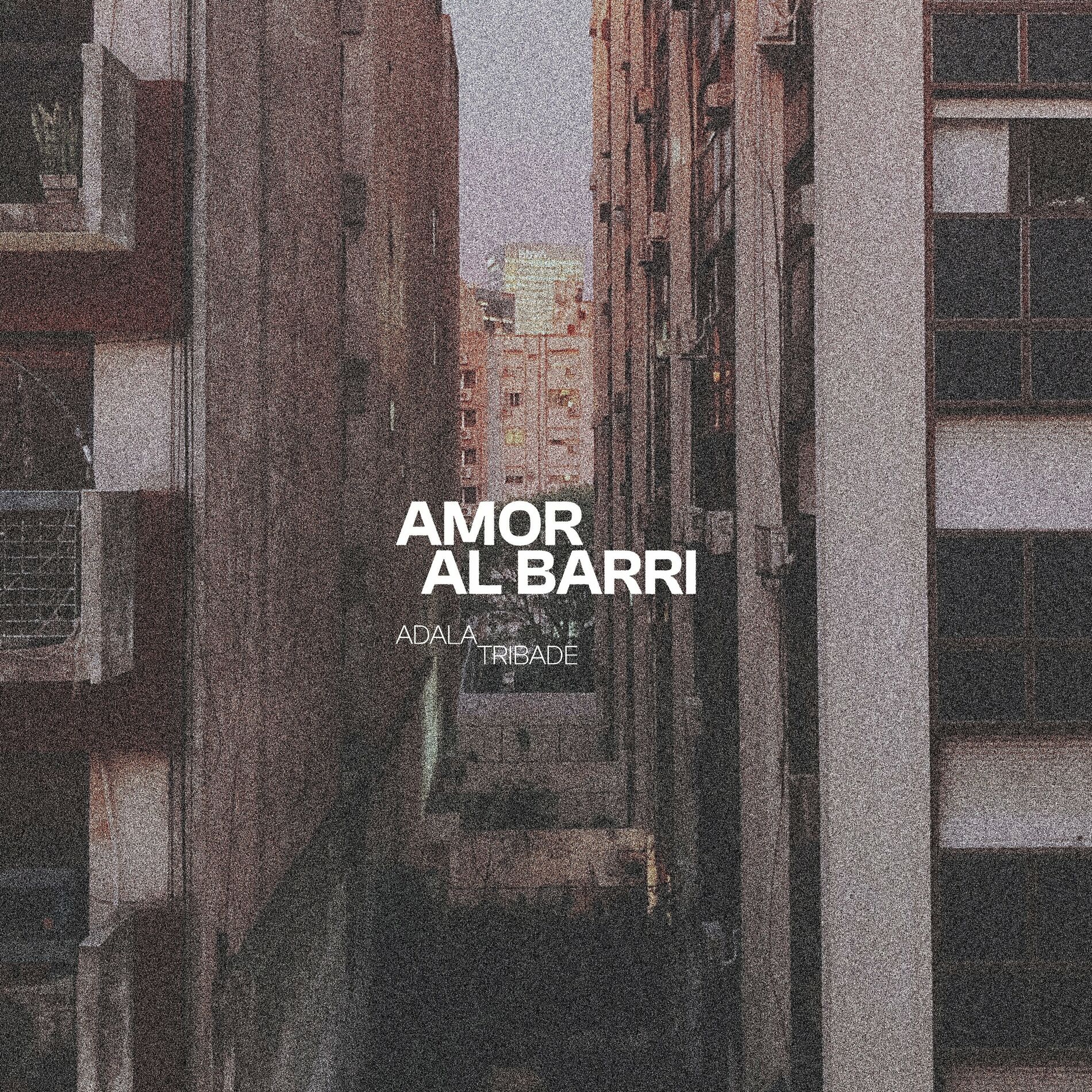 Album cover of Amor Al Barri