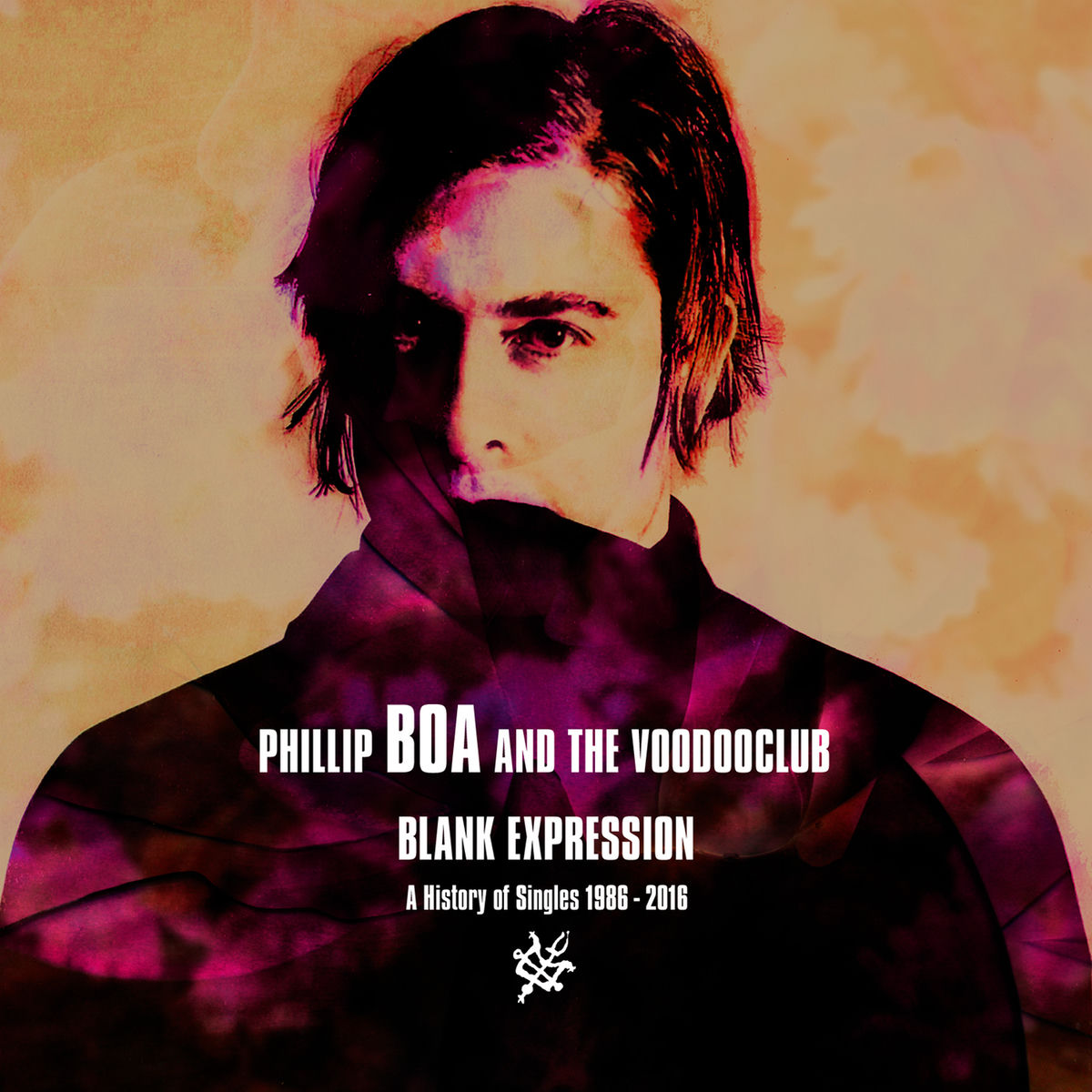 Album cover of Blank Expression: A History Of Singles 1986-2016