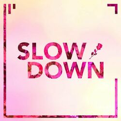 Cover of Slow Down