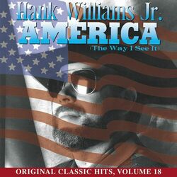 Cover of America (The Way I See It)
