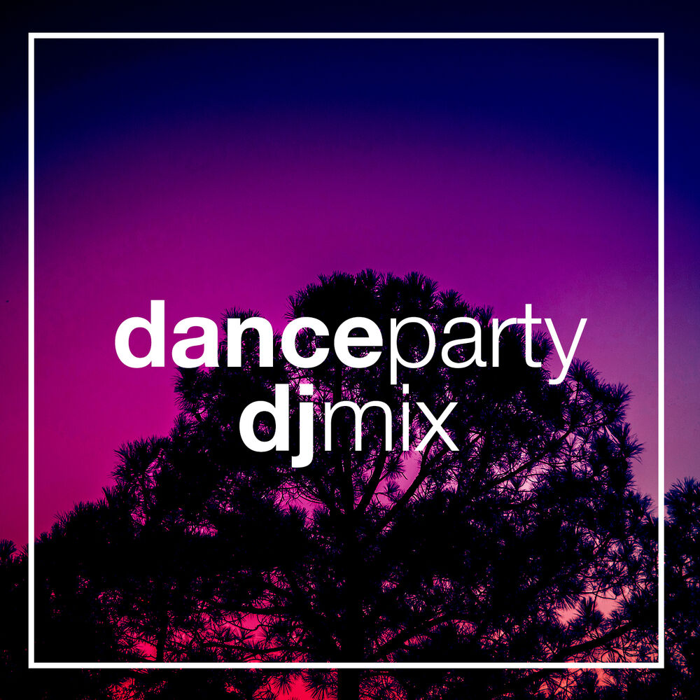 Picture of Dance Party DJ Mix