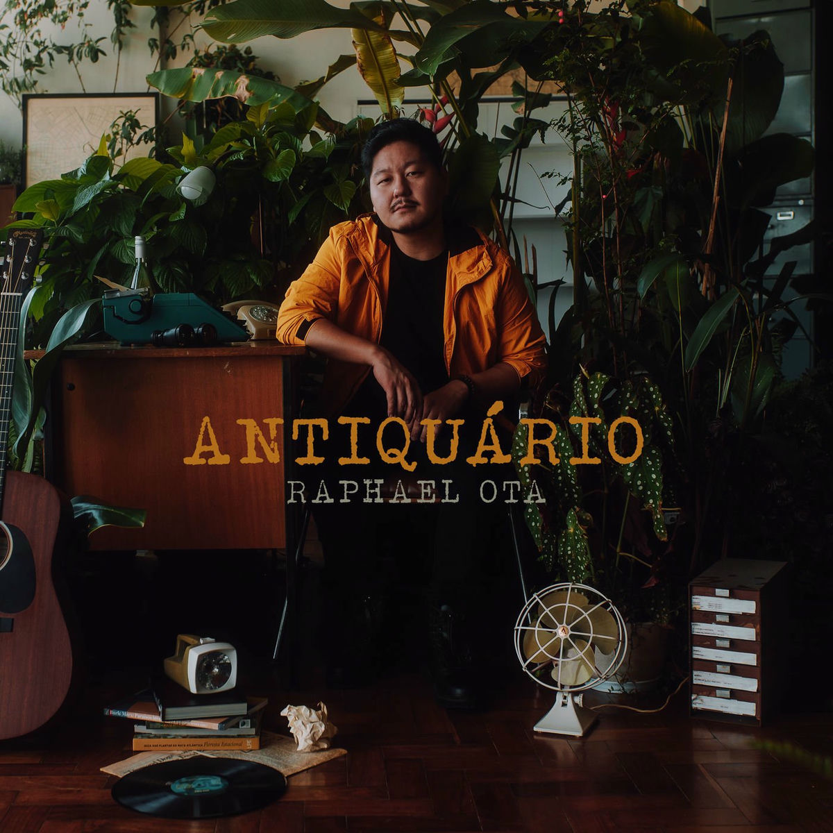 Album cover of Antiquário