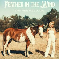 Cover of Feather in the Wind