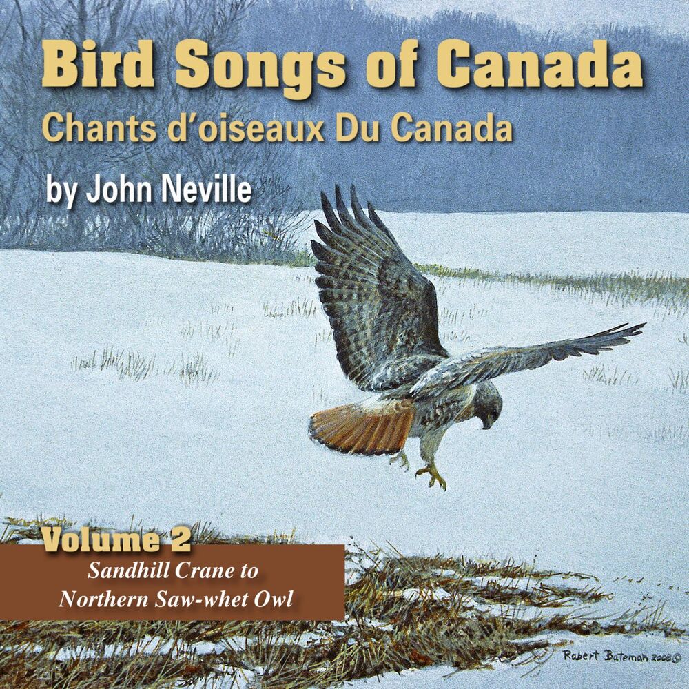 Picture of Bird Songs of Canada, Vol. 2