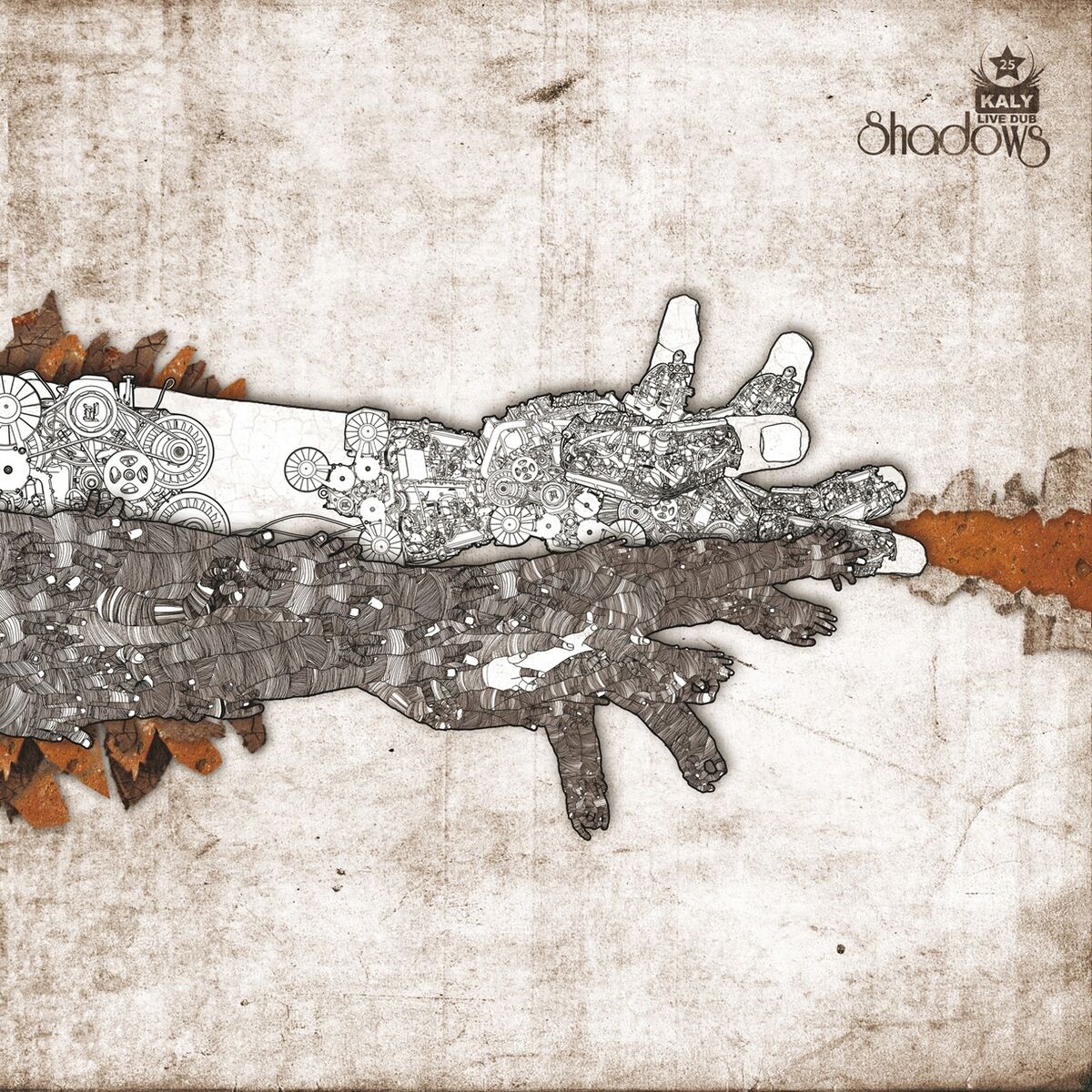Album cover of Shadows