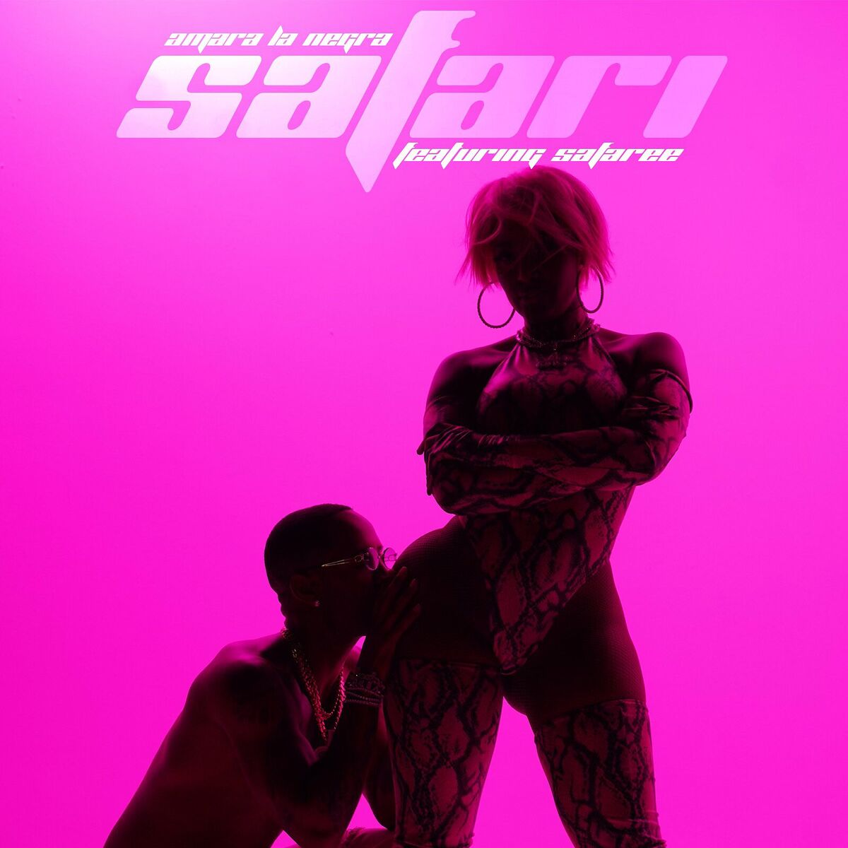 Album cover of Safari