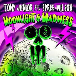 Cover of Moonlight & Madness