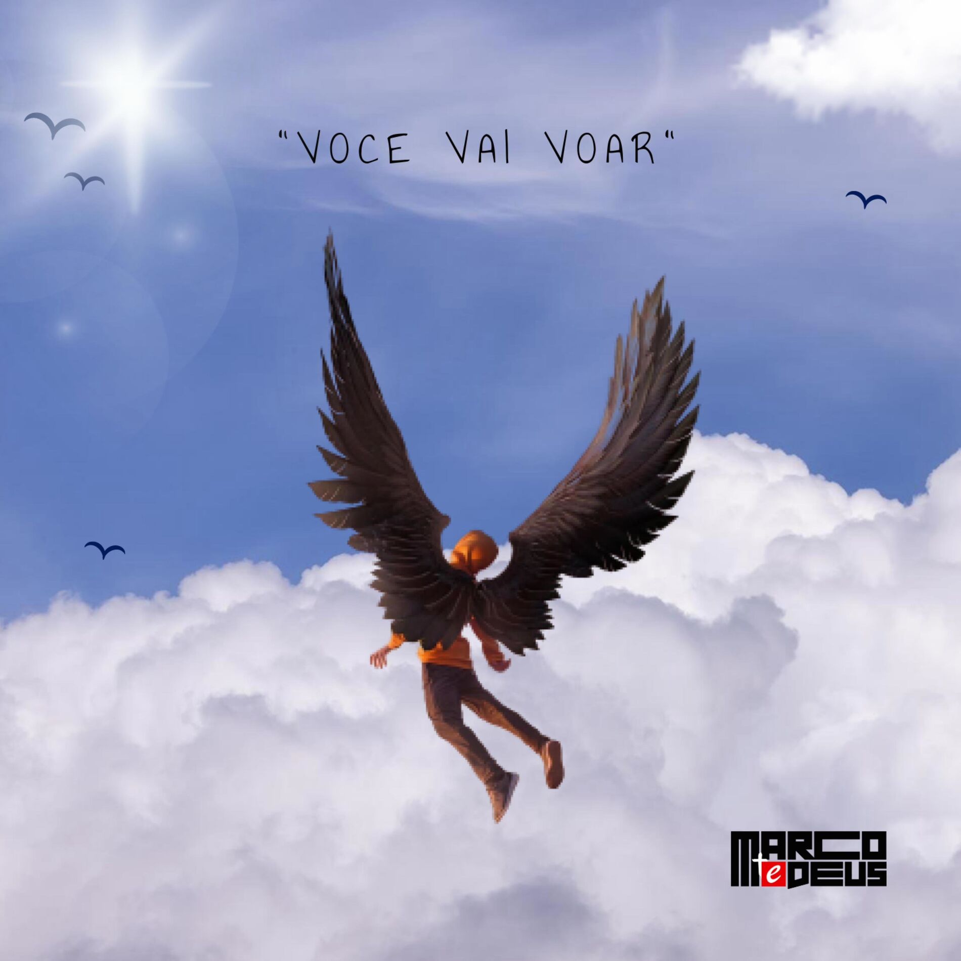 Album cover of Você Vai Voar