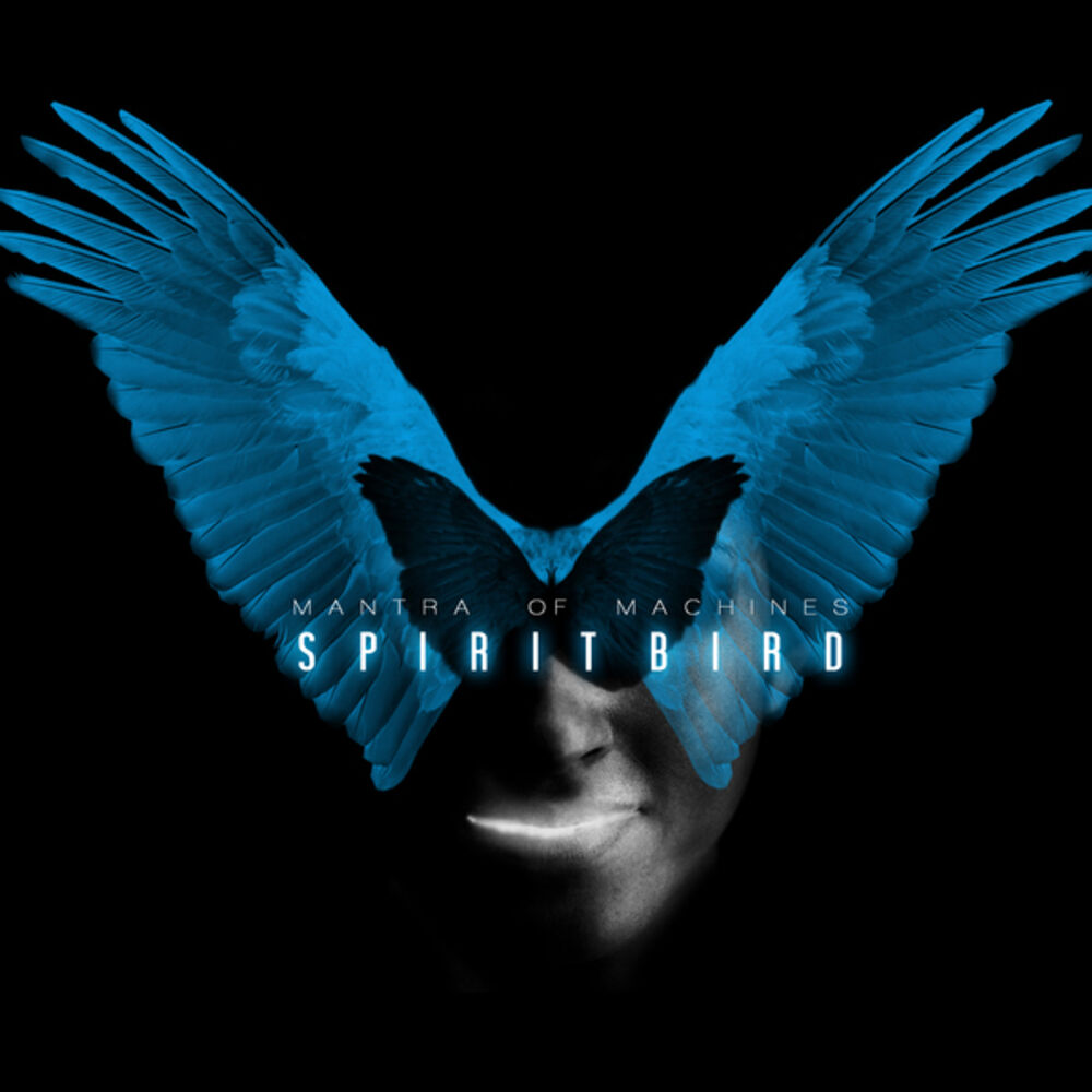Picture of Spiritbird