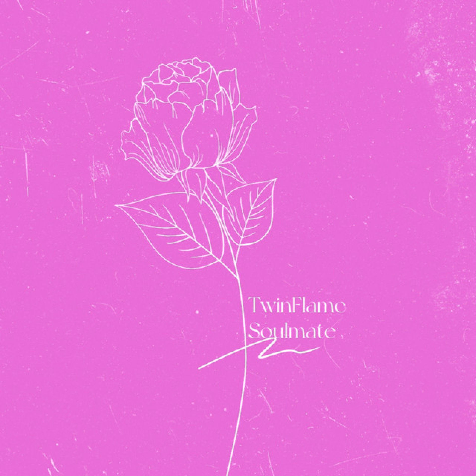 Album cover of Twinflame Soulmate