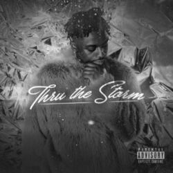 Cover of Thru The Storm (Deluxe)