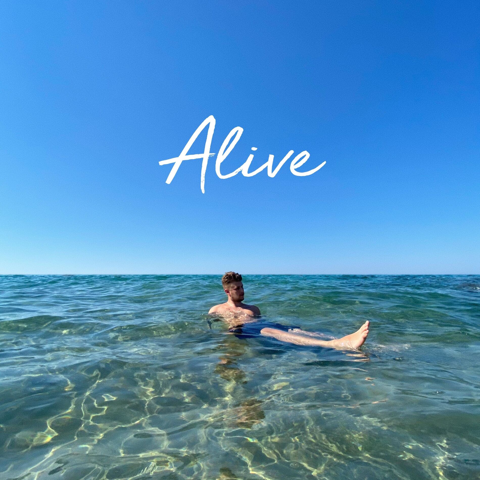 Album cover of Alive