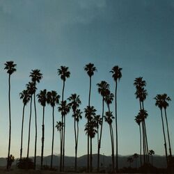Cover of Santa Barbara