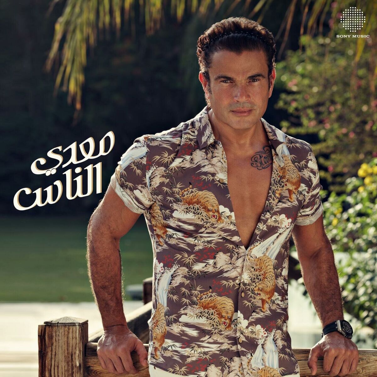 Album cover of Alby Etmannah