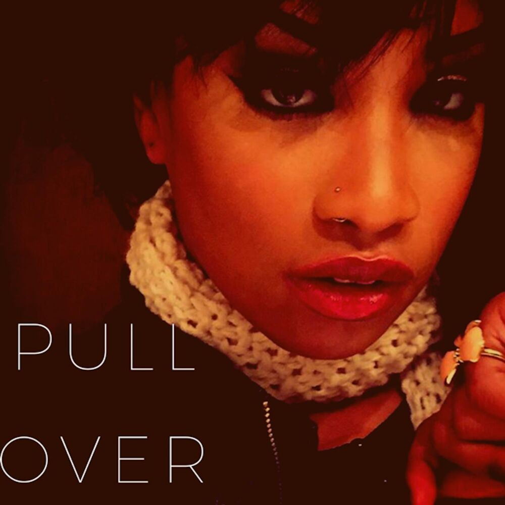Picture of Pull Over