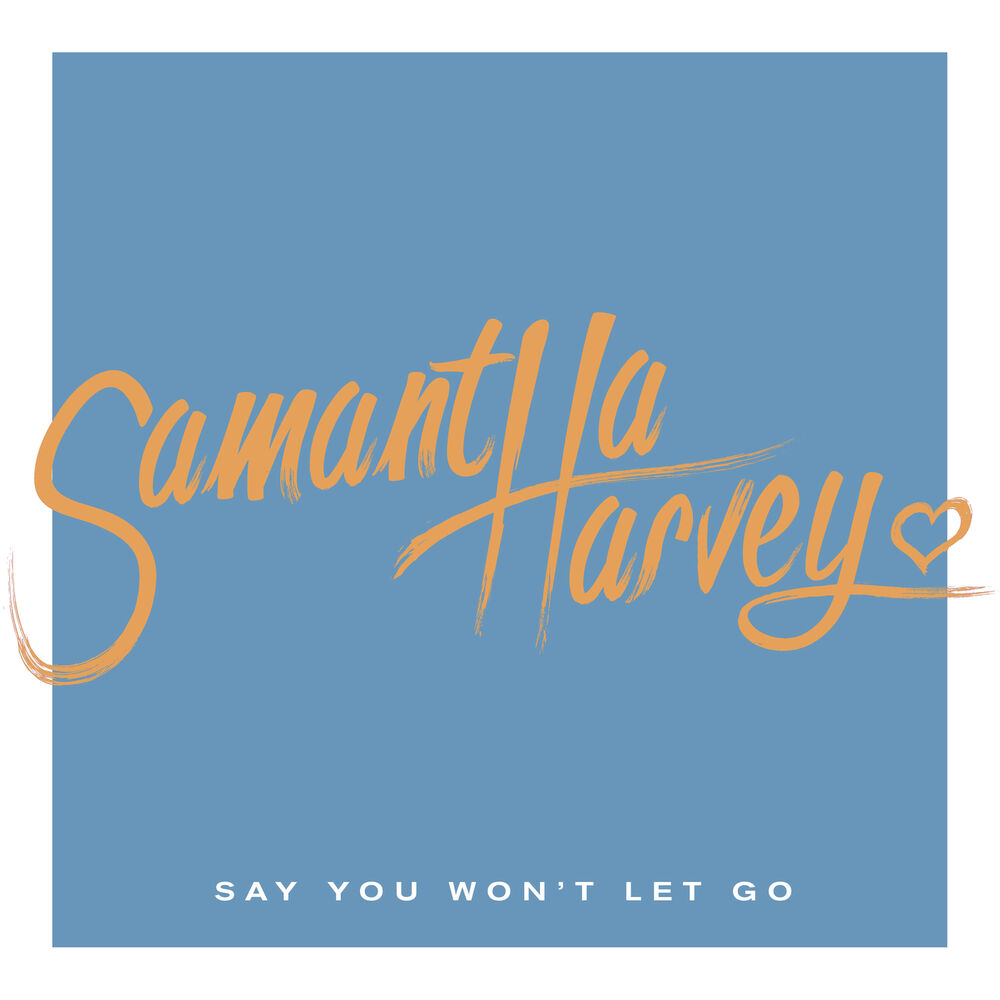 Picture of Say You Won't Let Go