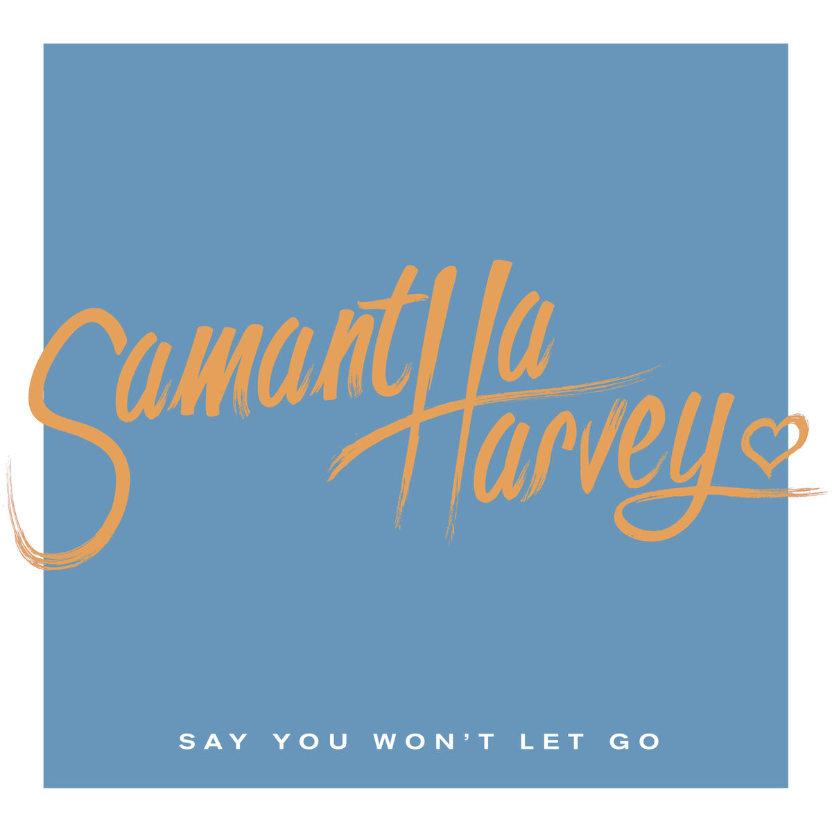 Album cover of Say You Won't Let Go