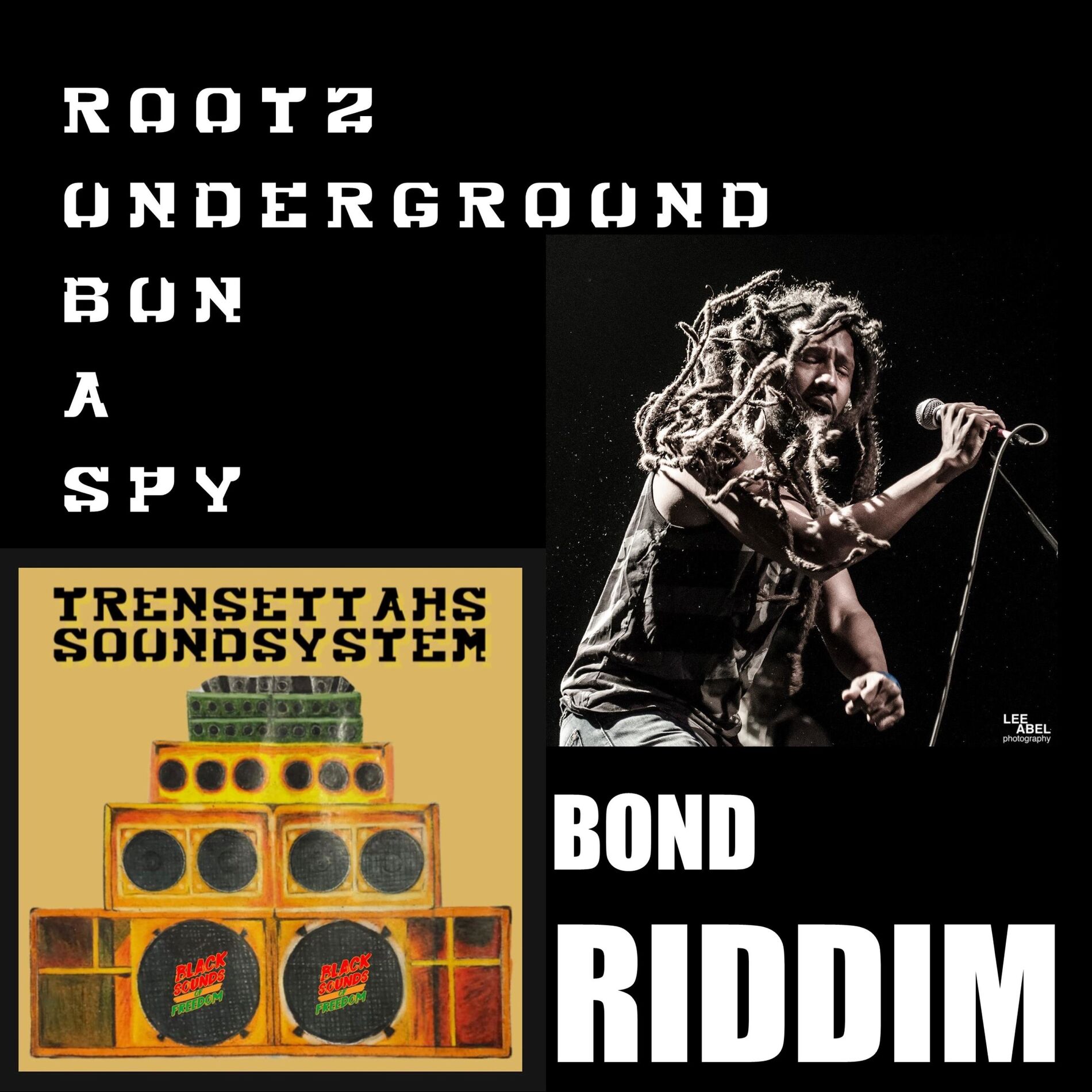 Album cover of Bun a spy (Bond Riddim) (feat. Rootz Underground)