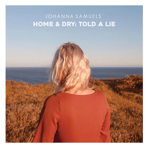 Home & Dry: Told a Lie sleeve