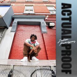 Cover of Actual Proof