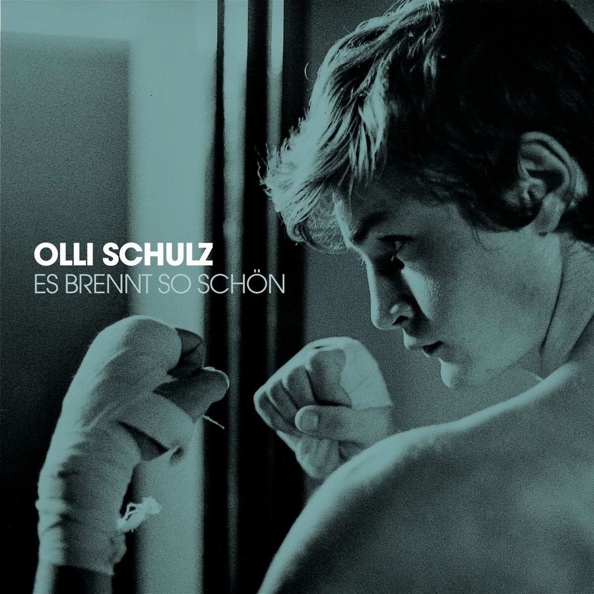 Album cover of Es brennt so schön