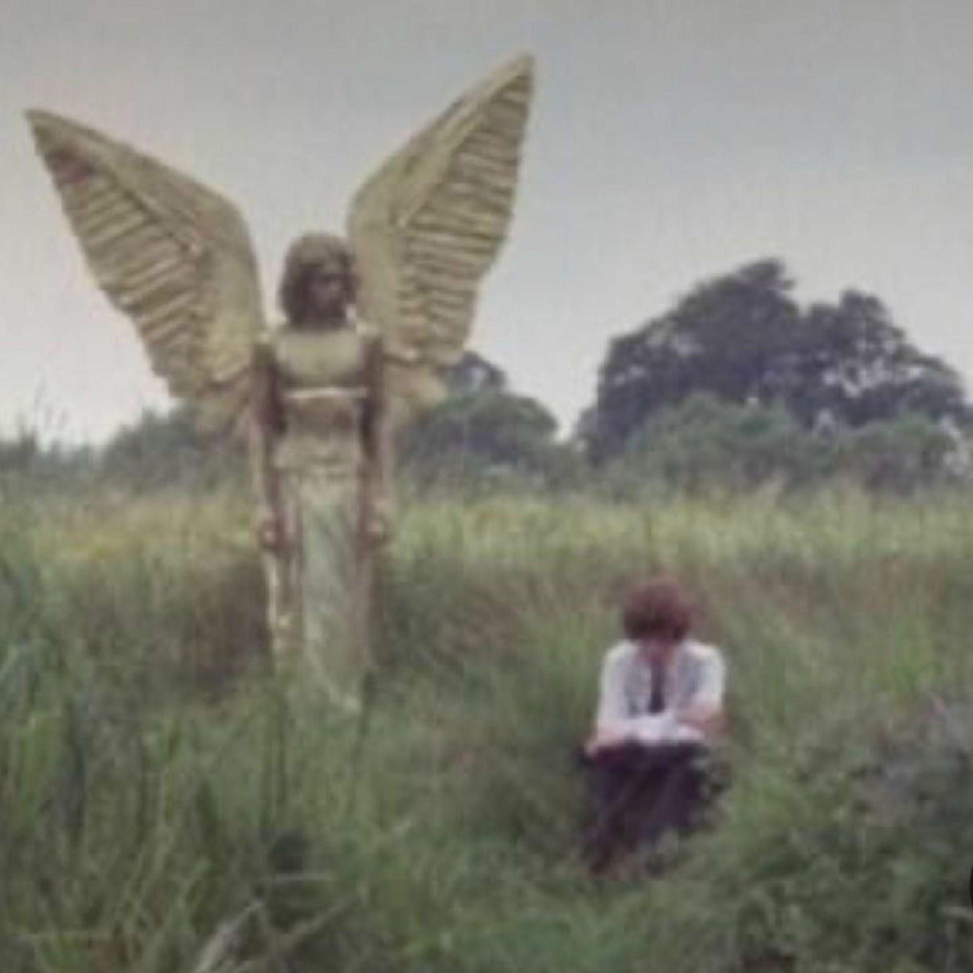 Album cover of I don't want to lose you