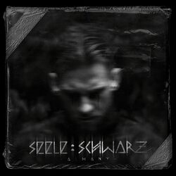 Cover of SEELE SCHWARZ