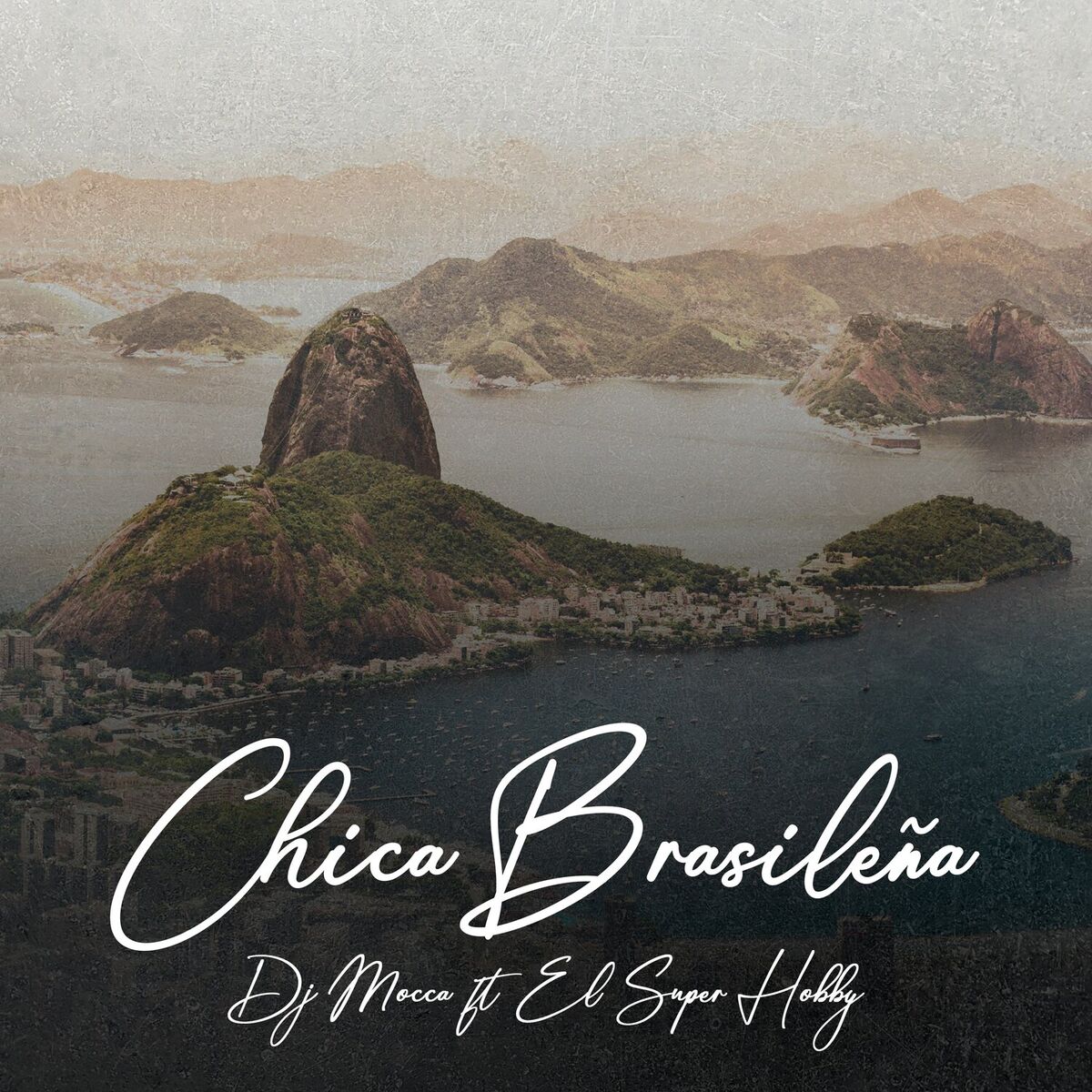 Album cover of Chica Brasileña (Remix)