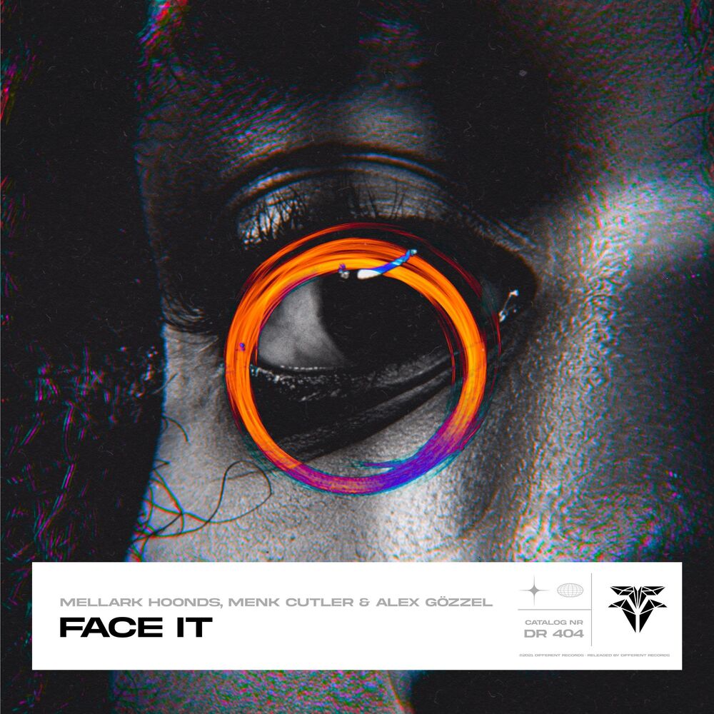 Picture of Face It