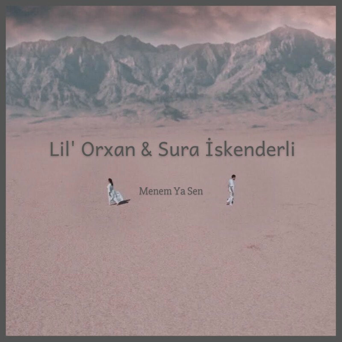 Album cover of Menem Ya Sen