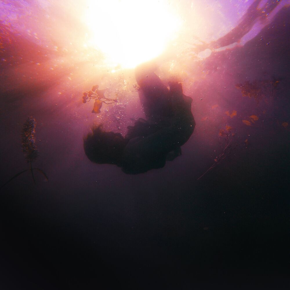 Picture of Led By The Sun
