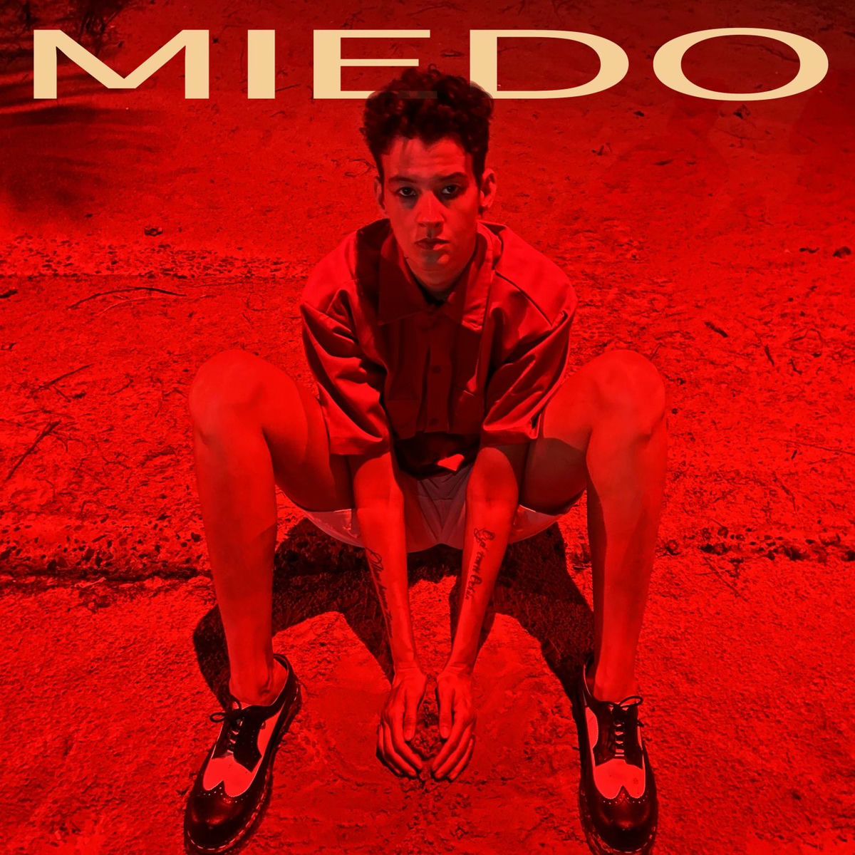 Album cover of Miedo