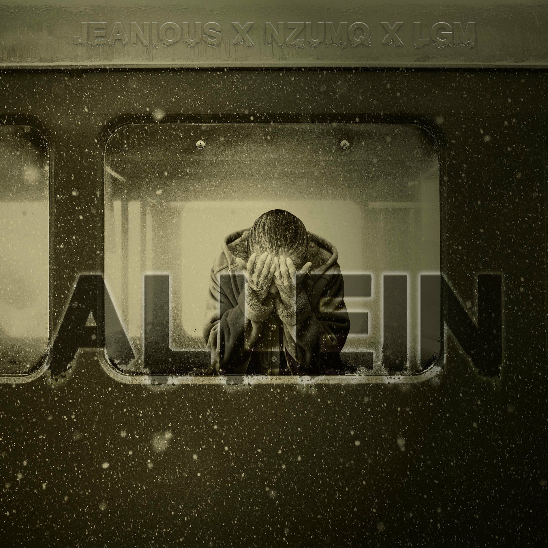 Album cover of Allein