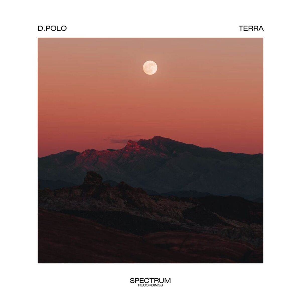 Album cover of Terra